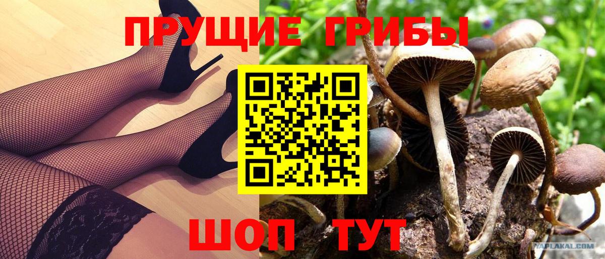 Галлюциногенные грибы мицелий Элиста