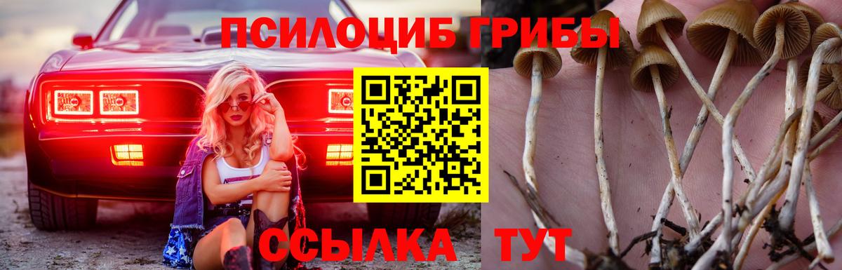 ГАШ  Элиста  Меф МЯУ МЯУ   ГАШ  Вход с VPN  Марихуана 